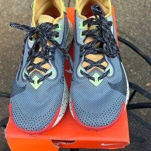 Nike Pegasus Trail 2 GTX